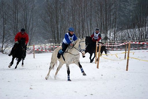 rennen untergeng 17.1.10 - 