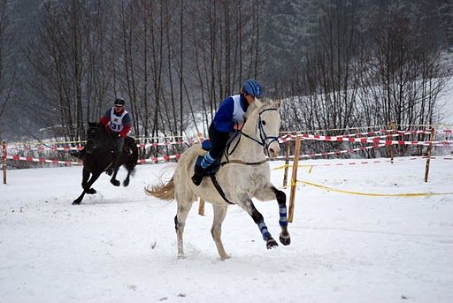 rennen untergeng 17.1.10 - 