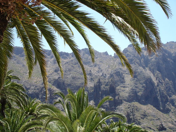 Tja..früher mal..in Teneriffa - 