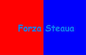 Steaua Bucuresti - 