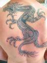 Dragon - 