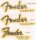 ~~~FeNdEr~~~ - 