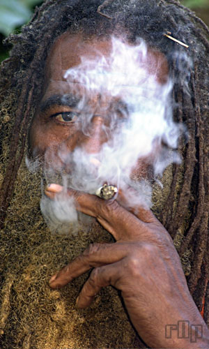 ganja and ganjasmoking - 