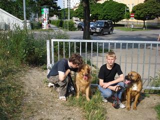 GINA,NERO UND THYSON - 