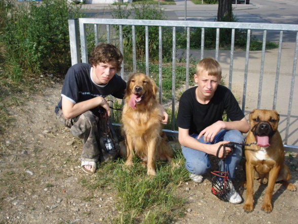 GINA,NERO UND THYSON - 