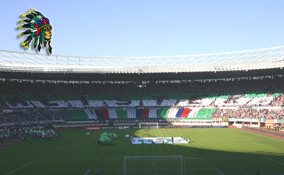 rapid wien - 