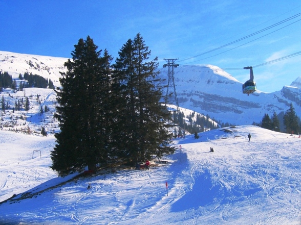 Skiing Switzerland - 