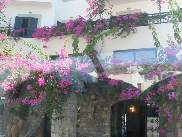 Kreta 2009 - 