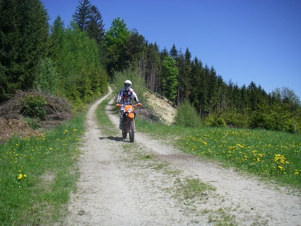 Enduro - 