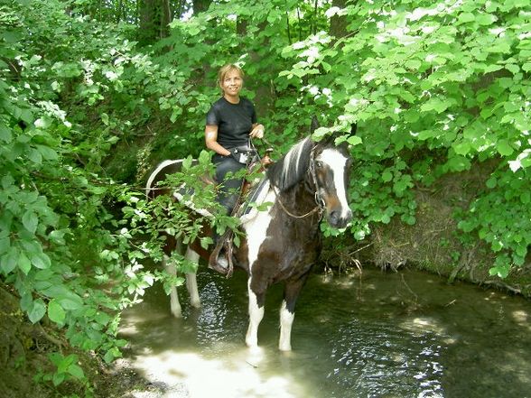 Dicke Berta und ich - 