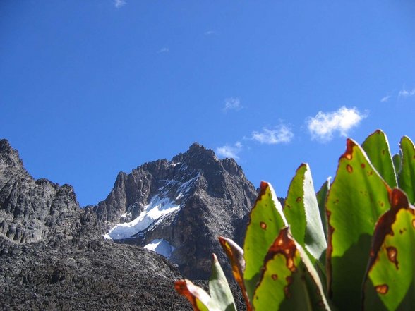 kili+mt. kenya 2006 - 