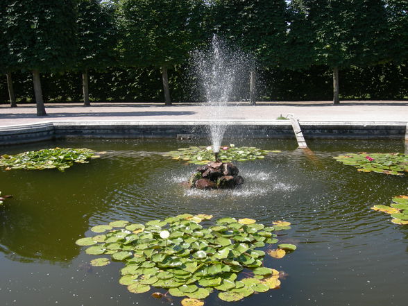 Schönbrunn Tiergarten - 