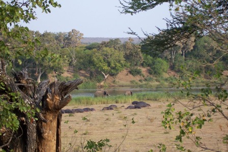 Mfubu Lodge - Krüger Nationalpark - 