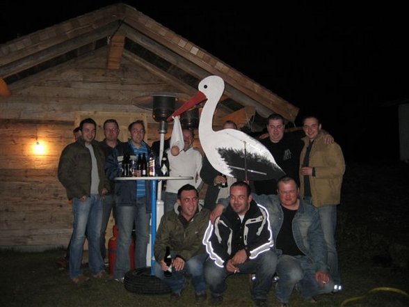 Kommt ein storch geflogen - 