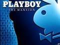 play boy - 