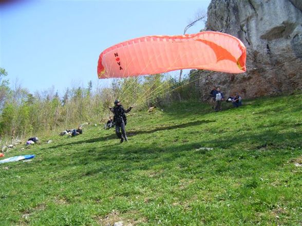 Paragleiterschein - 