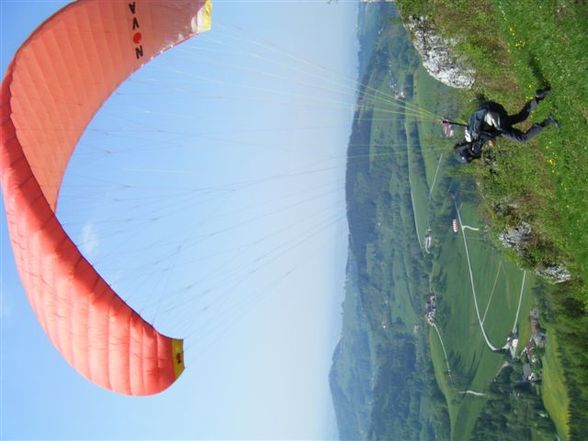 Paragleiterschein - 