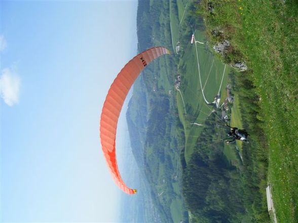 Paragleiterschein - 