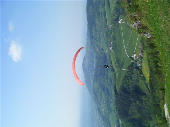 Paragleiterschein - 