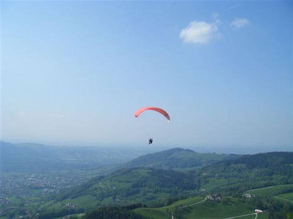 Paragleiterschein - 