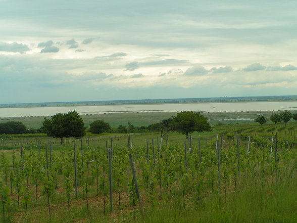 Burgenland - 