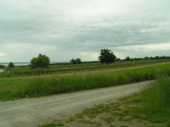 Burgenland - 