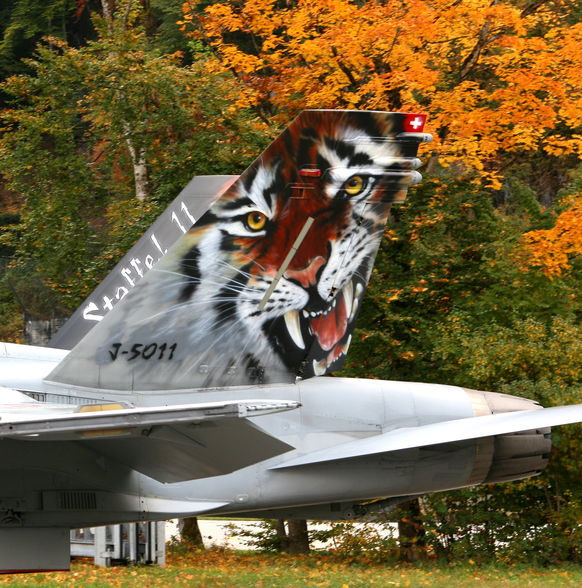 Swiss Airforce - 