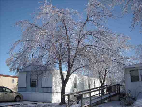 Ice Storm  - 