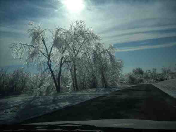 Ice Storm  - 