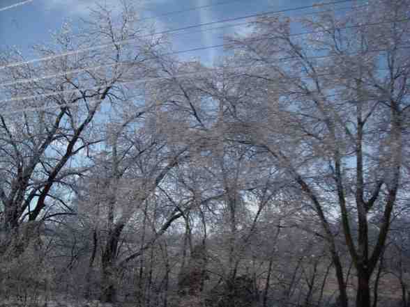 Ice Storm  - 