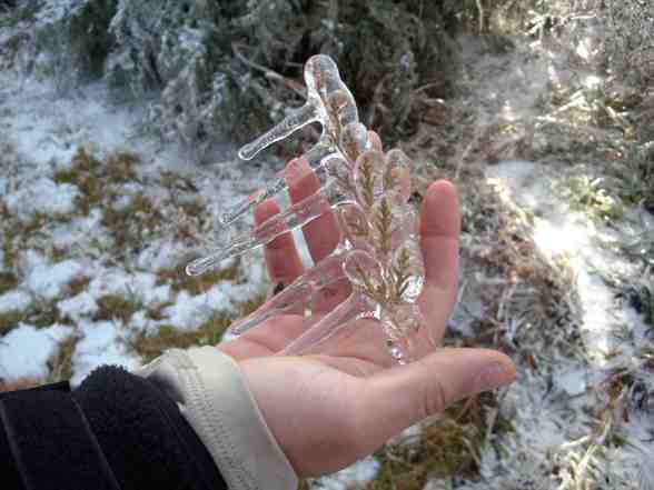 Ice Storm  - 