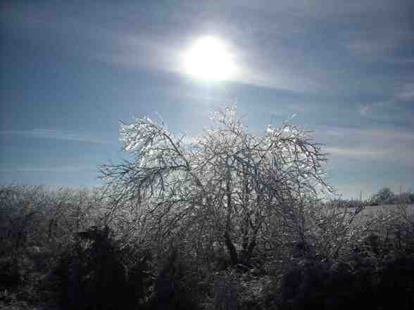 Ice Storm  - 