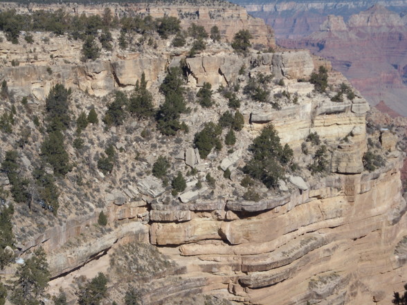 Grand canyon 2008 - 