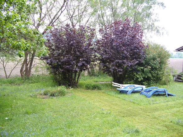 Garten in Walding - 