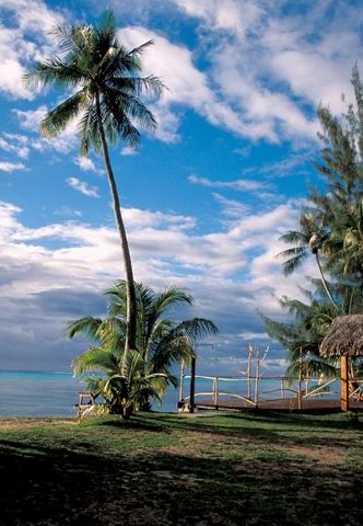 Moorea 2006 - 