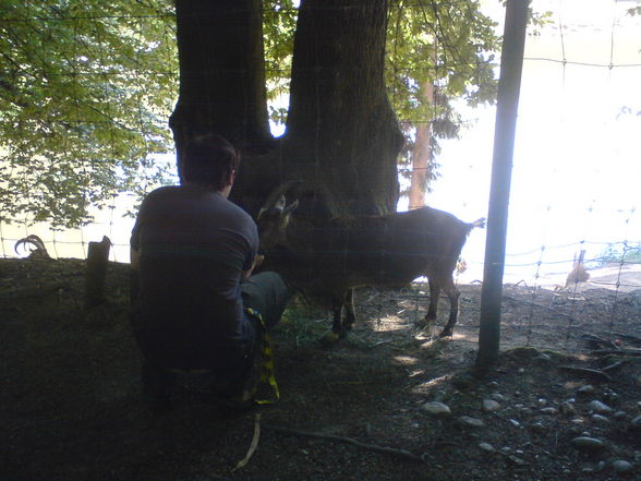 Tierpark Haag 1.6.08 - 