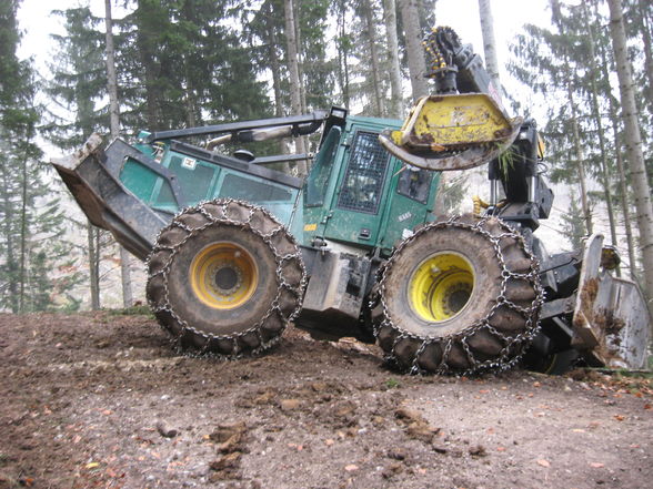 Steyrling Käferholz - 