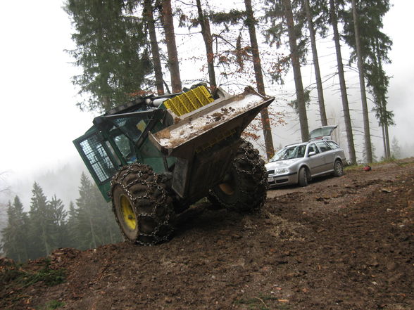 Steyrling Käferholz - 