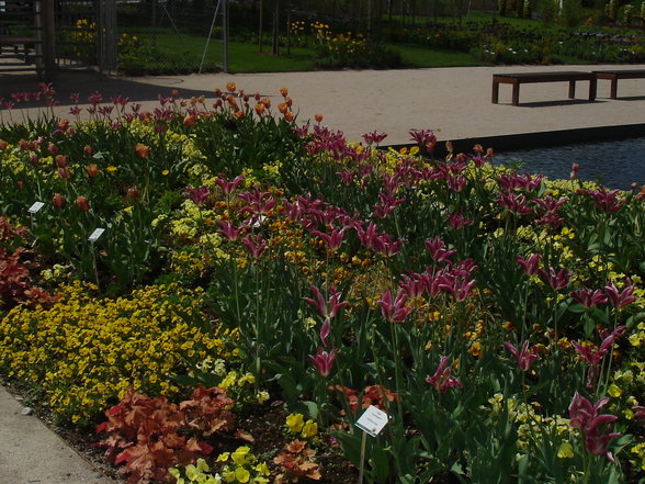 10.Mai Landesgartenschau Vöcklabruc - 