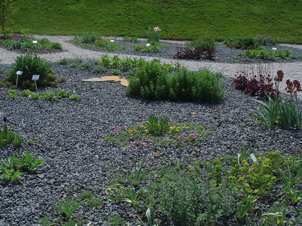 10.Mai Landesgartenschau Vöcklabruc - 