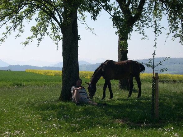 Topic Frühjahr 2007 - 