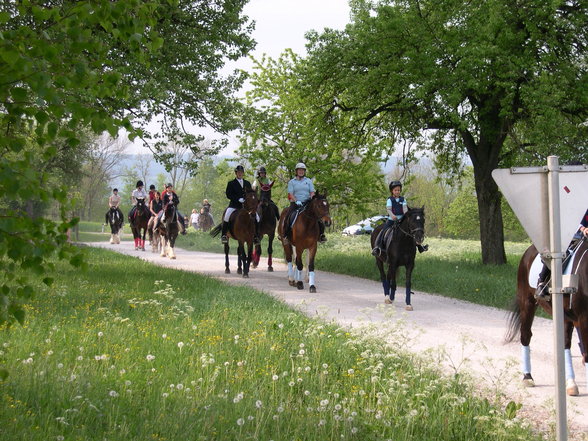 Pferdeweihe Pfarrkirchen 2007 - 