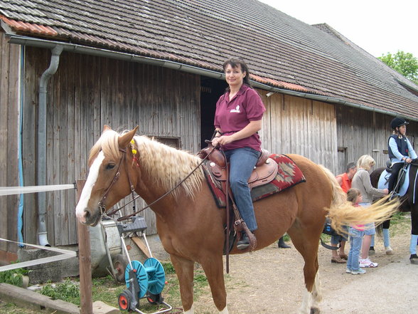 Pferdeweihe Pfarrkirchen 2007 - 