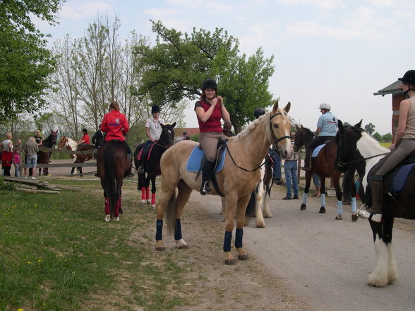 Pferdeweihe Pfarrkirchen 2007 - 