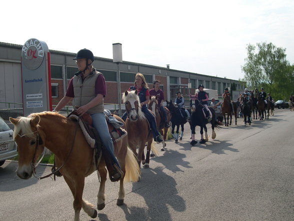 Pferdeweihe Pfarrkirchen 2007 - 