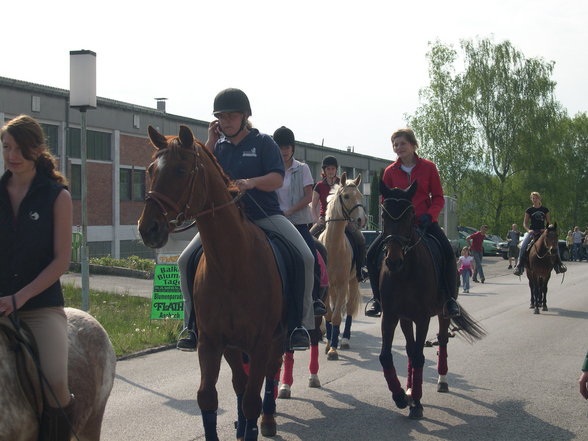 Pferdeweihe Pfarrkirchen 2007 - 