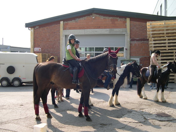 Pferdeweihe Pfarrkirchen 2007 - 