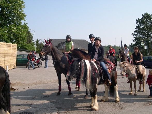 Pferdeweihe Pfarrkirchen 2007 - 