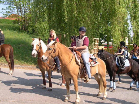 Pferdeweihe Pfarrkirchen 2007 - 