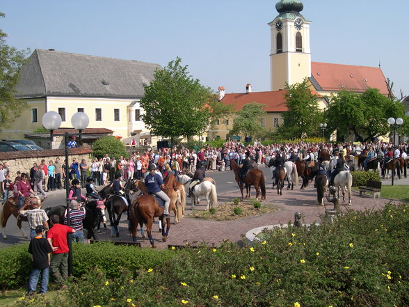 Pferdeweihe Pfarrkirchen 2007 - 